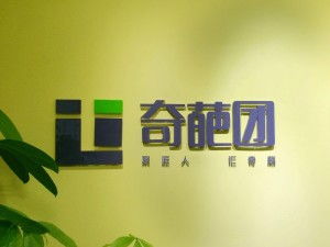 上海奇葩团网络科技 在数字浪潮中探索创新的边界